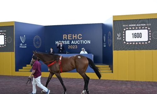 REHC Horse Auction returns