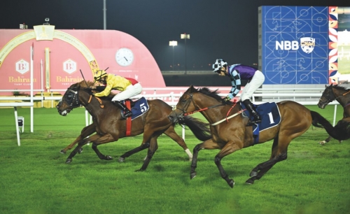 REHC to honour media, celebrate National Day in special race meet REHC to honour media, celebrate National Day in special race meet