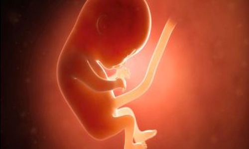 Indian police find 19 female foetuses dumped in sewer