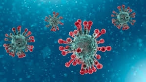 Coronavirus: UAE confirms first cases of 2019-nCoV virus, four of a family infected Coronavirus: UAE confirms first cases of 2019-nCoV virus, four of a family infected