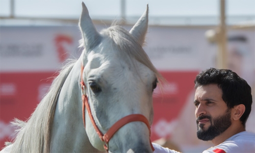 Preparations in full swing for HM the King’s Endurance Festival Cup 