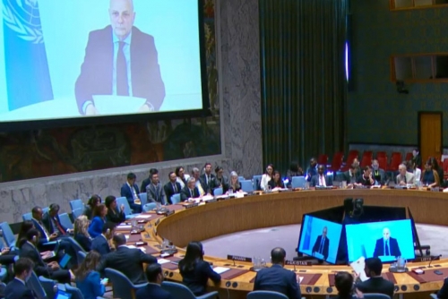 UN Security Council condemns Mali attacks