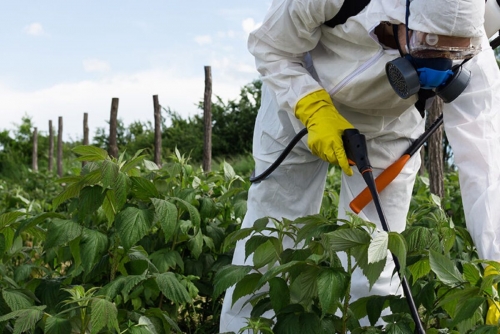 Vermont becomes first US state to ban toxic herbicide paraquat over Parkinson’s disease link