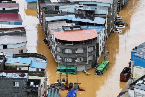 Hundreds of Animals Escape as Typhoon Maysak Kills 39 in China Hundreds of Animals Escape as Typhoon Maysak Kills 39 in China