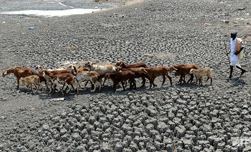India says 330 million people suffering from drought