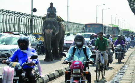 After 50 years, trams to return to Indian capital After 50 years, trams to return to Indian capital