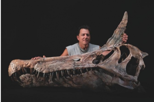 Scientists discover giant birdlike dinosaur in Niger desert Scientists discover giant birdlike dinosaur in Niger desert