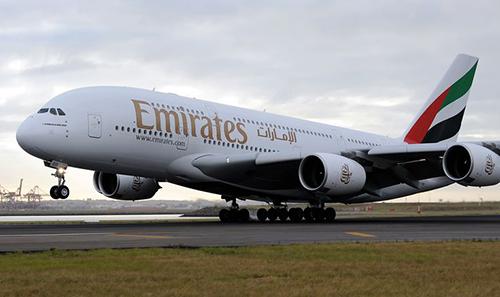 Bird hit causes delay for Delhi-Dubai Emirates flight 