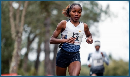 Yavi Strikes Gold in Italy