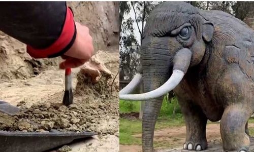 Chilean scientists discover 12,000-year-old elephant remains