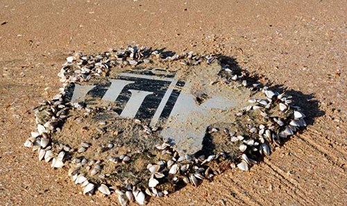 More debris found with possible MH370 link More debris found with possible MH370 link