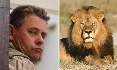 Zimbabwe drops charges against Cecil the lion hunter