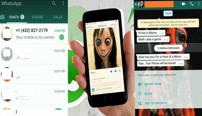 Alert call as terrifying Momo sweeps social media networks