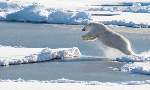 Arctic sea ice thinning faster than expected, new study shows