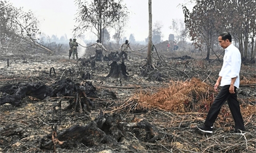 Indonesia ‘doing everything’ to put out forest fires - President