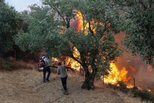 Three firefighters killed battling Greece wildfires Three firefighters killed battling Greece wildfires