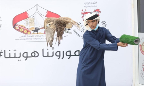 When falcons take the fast lane in Bahrain