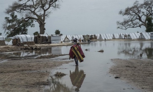 14 people die of cholera in northeast Nigeria