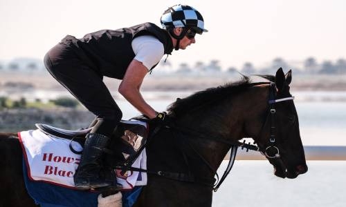 Bahrain Turf Series finale set