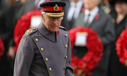 UK's King Charles celebrates 74th birthday with new role