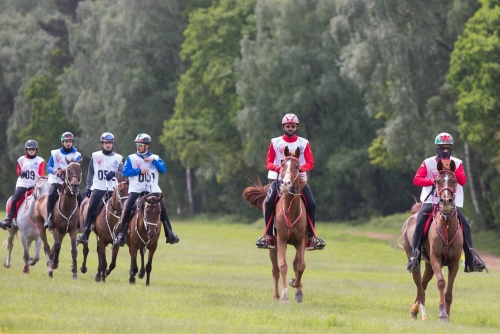 Bahraini squad ready for Windsor Equestrian Championship