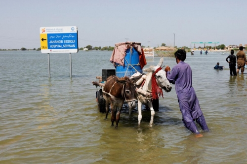 20 killed in van accident as record floods engulf Pakistan