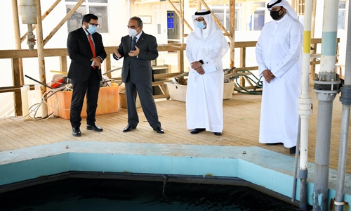 Ras Hayyan aquaculture centre production up by 70%: Bahrain Minister