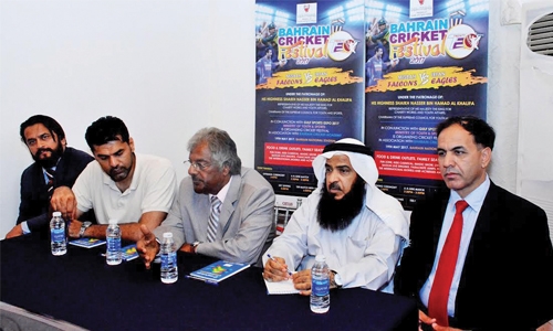 Cricket festival on May 19 Cricket festival on May 19