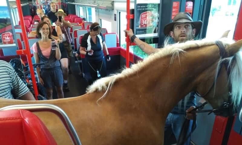 Austrian man tries to board train with horse Austrian man tries to board train with horse