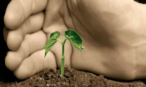 Bahrain host international conference on environment protection