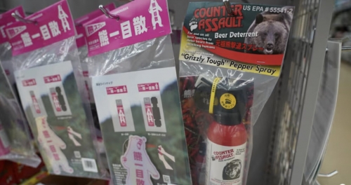 Accidental bear spray discharge sickens eight in Japan, five hospitalised