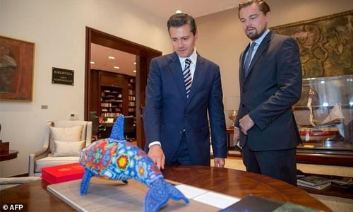DiCaprio, Mexico in push to save vaquita porpoise DiCaprio, Mexico in push to save vaquita porpoise