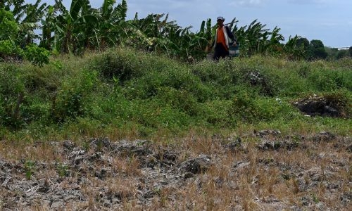 World should prepare for El Nino, new record temperatures: UN