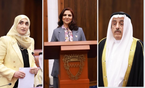 Shura Council strikes down economic redundancies bill