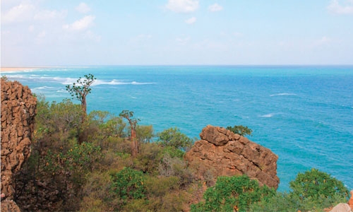 Importance of preserving Socotra island Importance of preserving Socotra island