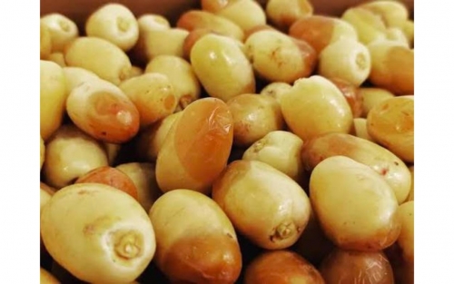 Prized Khalas Dates Hit Bahrain Markets Prized Khalas Dates Hit Bahrain Markets
