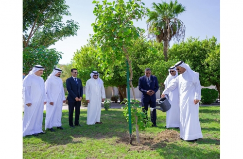 Media champions green