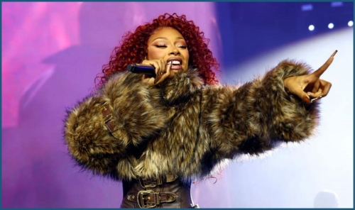 'Wake-up call': Megan Thee Stallion falls ill during Broadway show