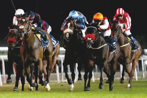 Top Horses to Clash in Bahrain’s Season Finale Races