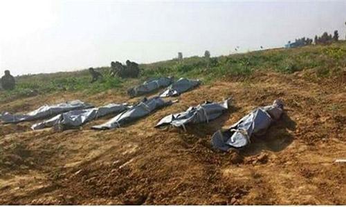 Iraqi forces claim found 365 IS bodies in Baiji graves Iraqi forces claim found 365 IS bodies in Baiji graves