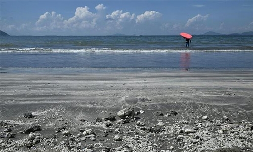 Hong Kong cleans up greasy beaches after palm oil spill