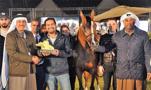 Arabian Horse show wins hearts 